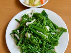 -大顺堂食府(牛街店)