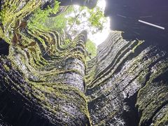 -梭布垭石林景区