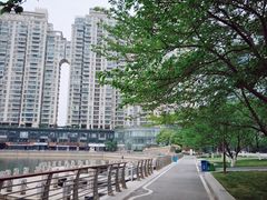 -西北湖绿化广场