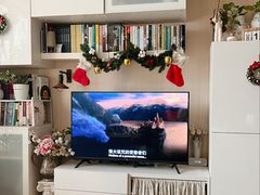 -天津东丽湖风景区