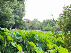 -丝绸小镇荻港古村