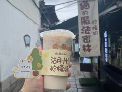 -猫的魔法密林(衣裳街店)