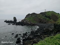 -涉地可支