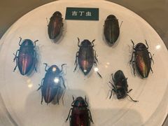 -陕西自然博物馆