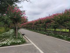 -武汉紫薇都市田园