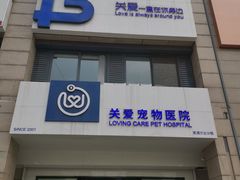 -关爱宠物医院·猫科中心·消化科(滨湖万达分院)