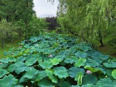 -上海交通大学(闵行校区)