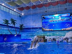 -多彩贵州城极地海洋世界
