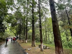 -敬亭山风景名胜区