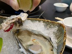 法国生蚝-飞尝蚝·顺德菜·鱼生(顺德总店)