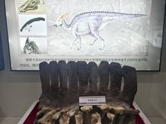 -嘉荫恐龙国家地质公园