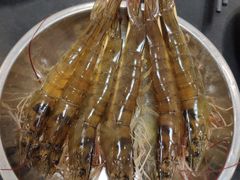 竹节虾-吉友粥底火锅(方斜路店)