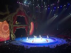 -珠海横琴长隆《卡卡虎奇遇记》