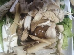 -爱膳菌锅锅(阳南店)