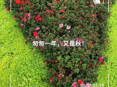 -紫颐香薰山谷景区