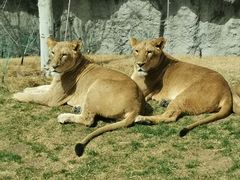 -北京野生动物园