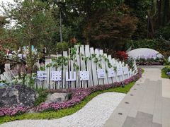 -深圳仙湖植物园
