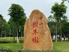-中山市树木园