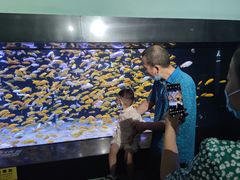 -成都浩海立方海洋公园