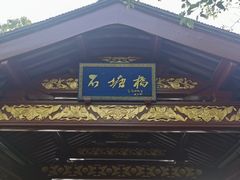 -长广溪湿地公园