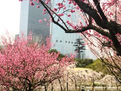 -白塘生态植物园