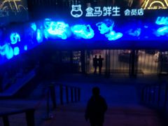 -盒马鲜生(杭州运河上街店)