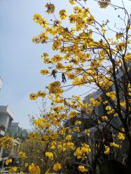 -KISS U 国际美学