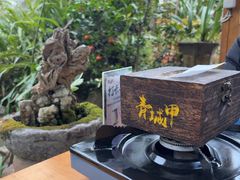 -青城甲(青城山店)