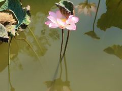 -广州神农草堂中医药博物馆
