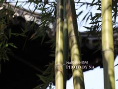 -汇龙潭