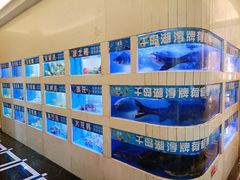 水产区-隆聚·时令海鲜(洪兴店)