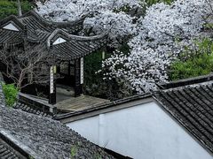 -巡塘古镇