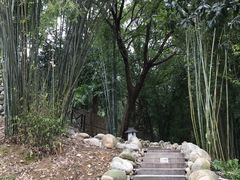 -三江森林温泉度假区