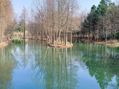 -西溪国家湿地公园