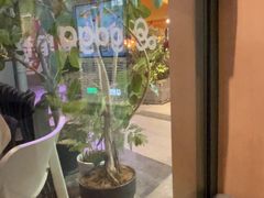 -gaga(深圳福田星河COCO Park店)
