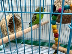 -甲乙果 美术书法(通州校区)