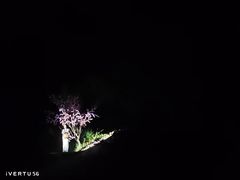 -常德桃花源景区