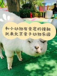 -萌宠亲子动物乐园(槐房万达店)