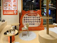 -米乐乖乖猫咪咖啡馆·猫咖(深圳湾后海汇店)