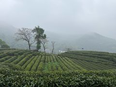 -十里琅珰