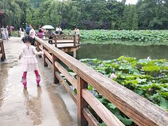 -雀儿山公园