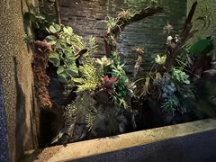 -泰适SPA馆丨精油·按摩·足道(后海地铁口店)