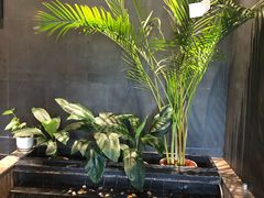 -大鸭梨烤鸭(顺义石园店)