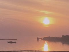 -合肥滨湖国家森林公园