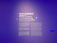 -上海宝龙美术馆