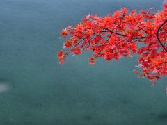 -颐和园
