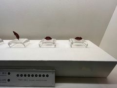 -杭州工艺美术博物馆