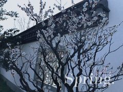 -杭州植物园