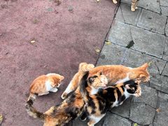 -敬亭山风景名胜区