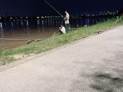 -灞河西岸滨河公园